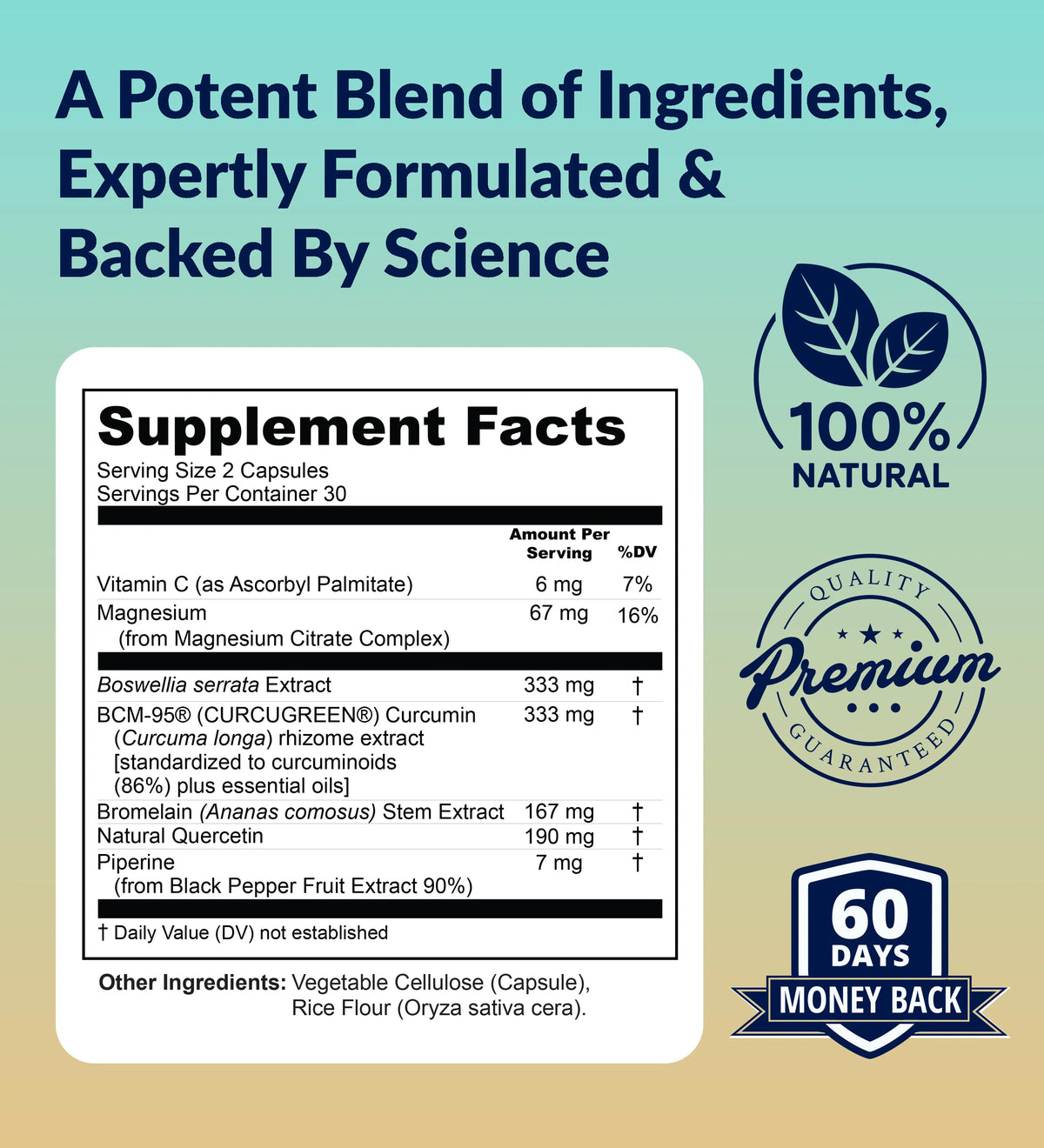 UpWellness Golden Revive + Joint Support Supplement Featuring Turmeric with Black Pepper, Quercetin, and Magnesium- Turmeric Boswellia Supplement - 6 Active Ingredients for Joint Care - 60 Capsules